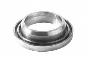 koltso-labirintnoe